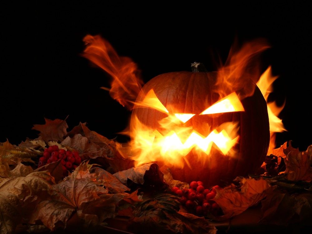 Wild pumpkin