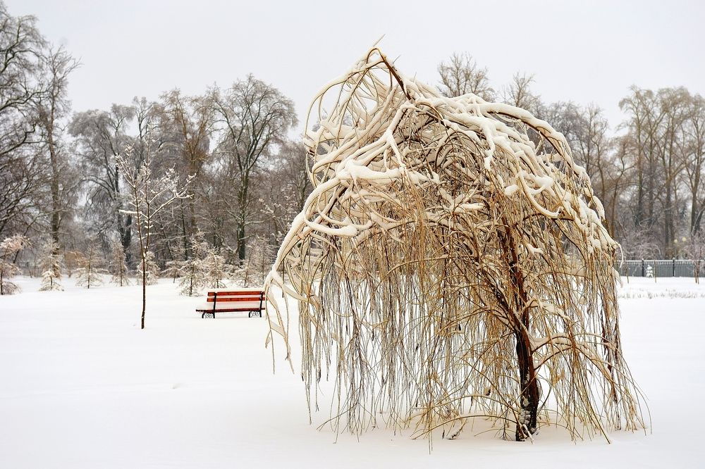 Photograph by Олег Романов