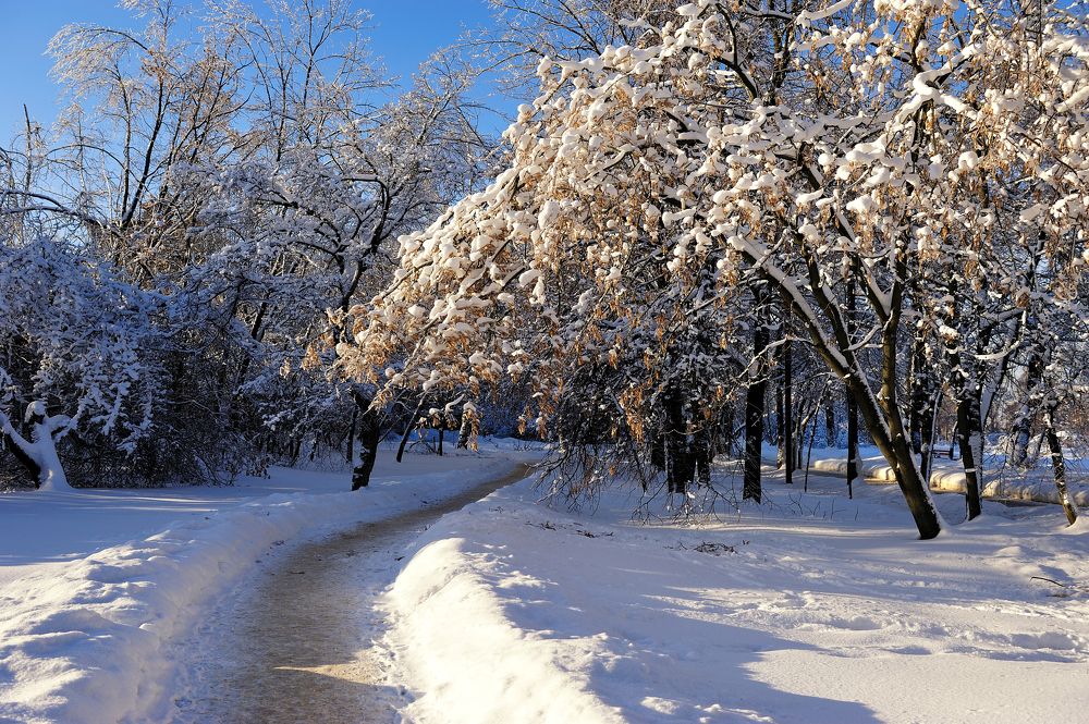 Photograph by Олег Романов