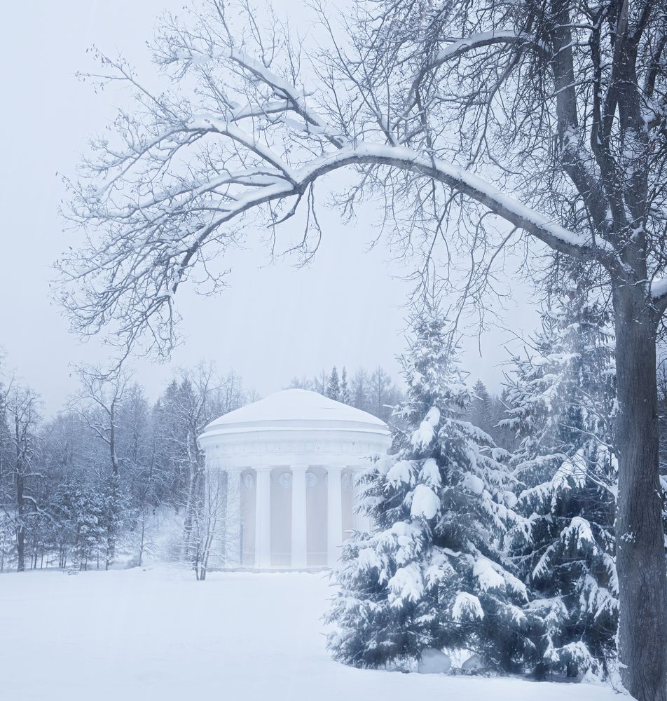 Photograph by Yulia Opanasyuk