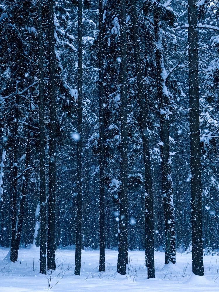 Photograph by Юлия Калиничева