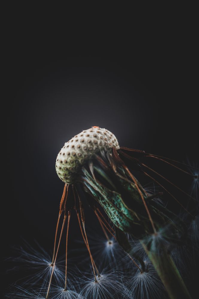 Photograph by Леонид