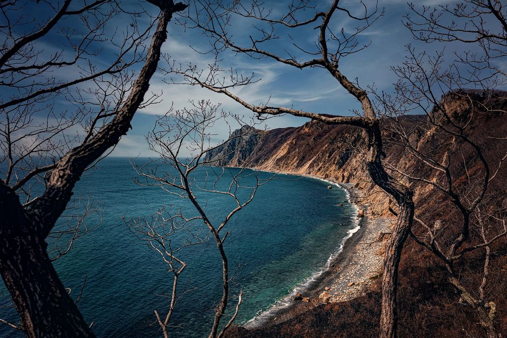 Photograph by Алена Литвин