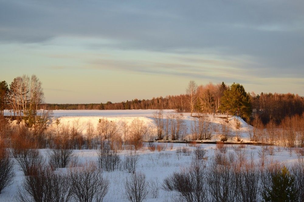 Родные просторы