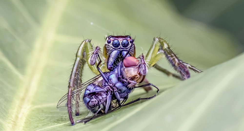 Photograph by ARUN MOHANRAJ