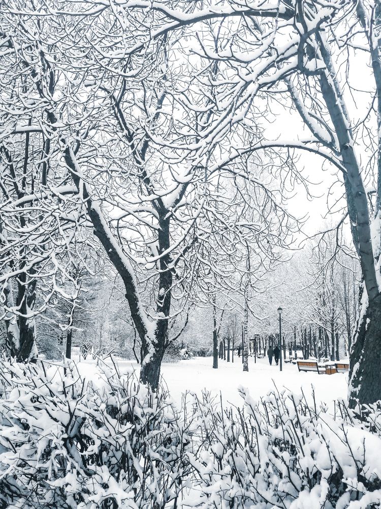 Photograph by Симикова Светлана