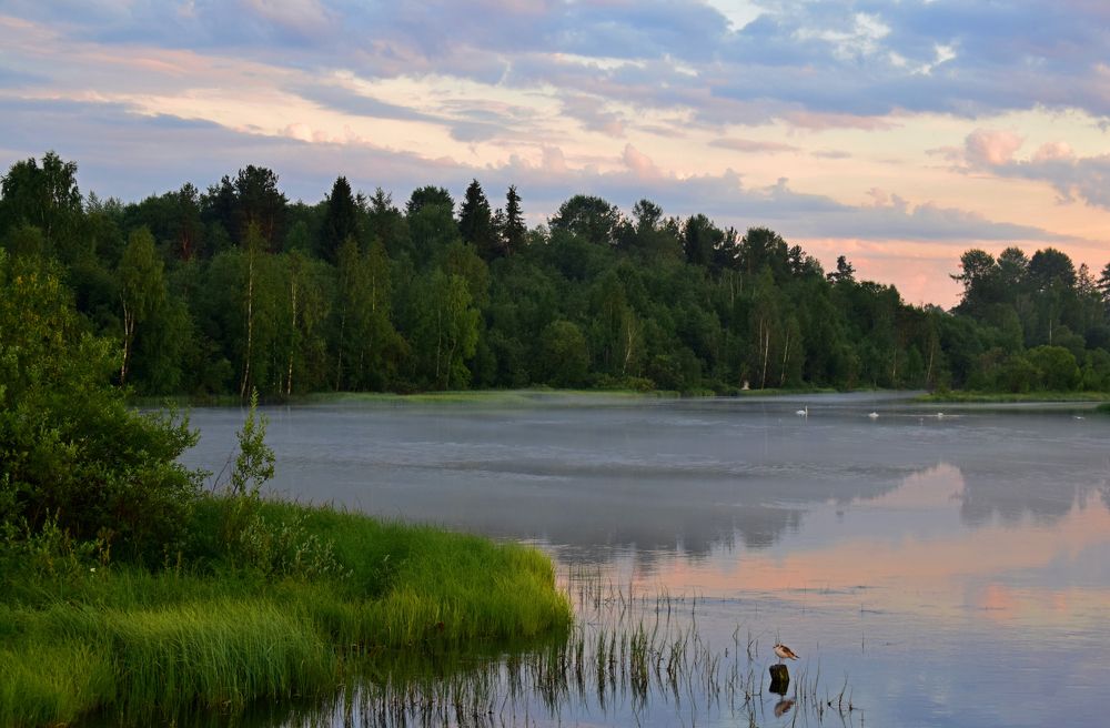 Фотография автора Оксана Льдинина