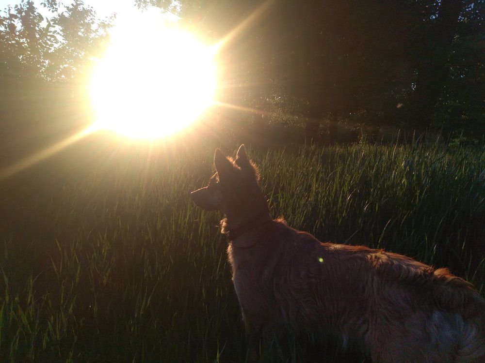 Матильда и закат...