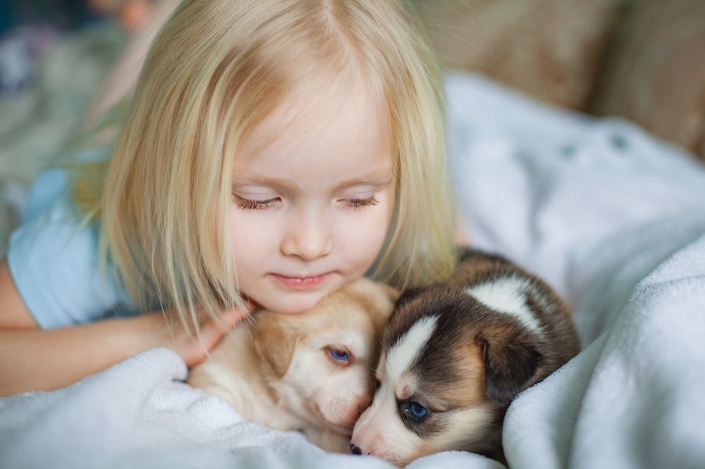 Photograph by Ольга Левакова