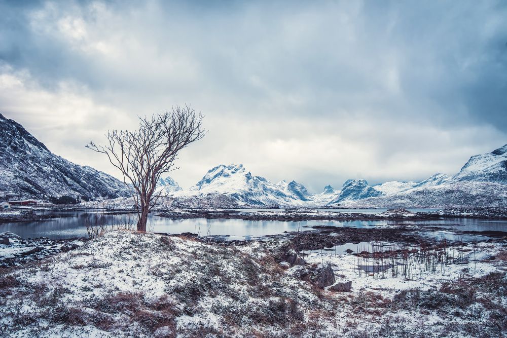 Photograph by Aris Christou