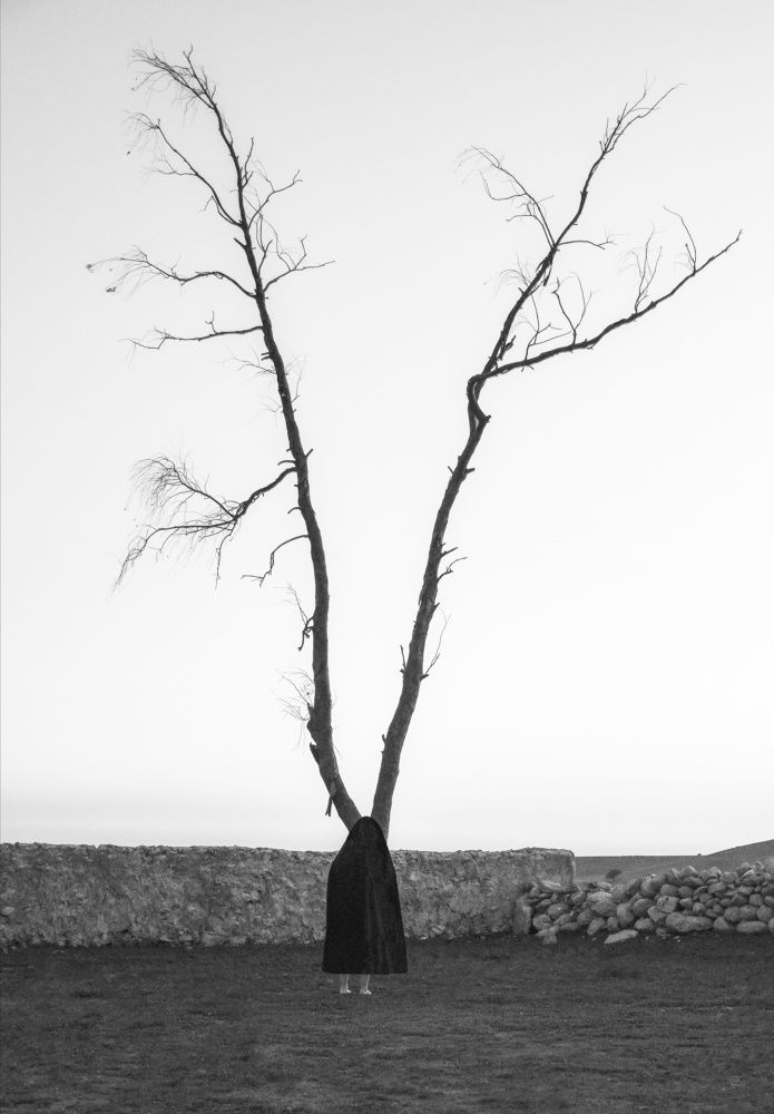 Фотография автора Z Fatemi