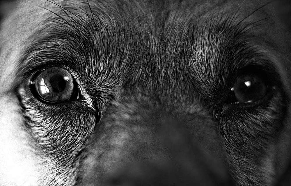 Photograph by Кравченко Татьяна Леонидовна