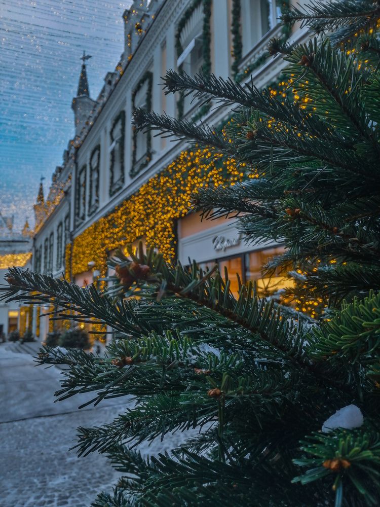 Photograph by Симикова Светлана