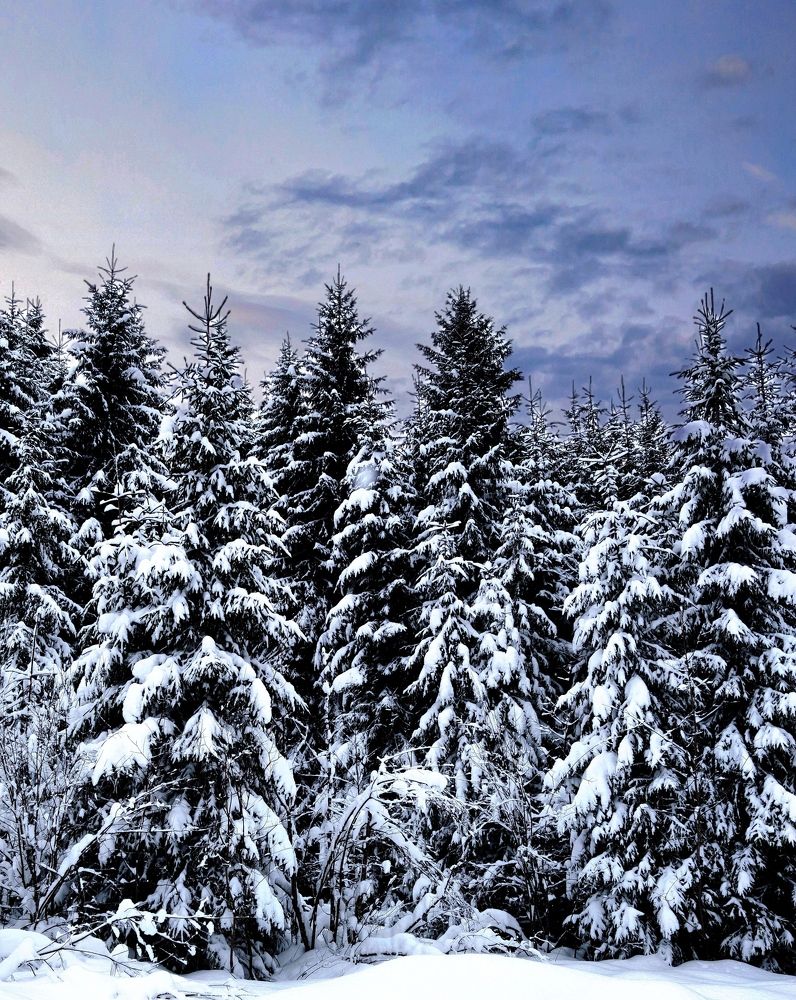 Photograph by Инна Макарчук