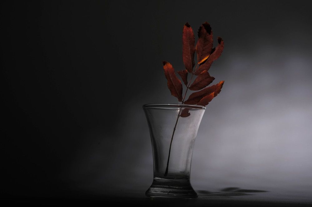 Photograph by Тим