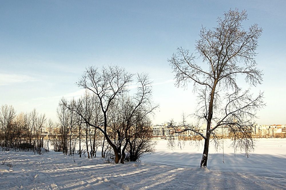 Фотография автора Екатерина Першина