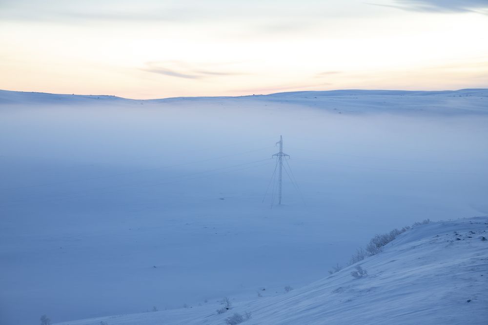 Photograph by Юлия Лазебная