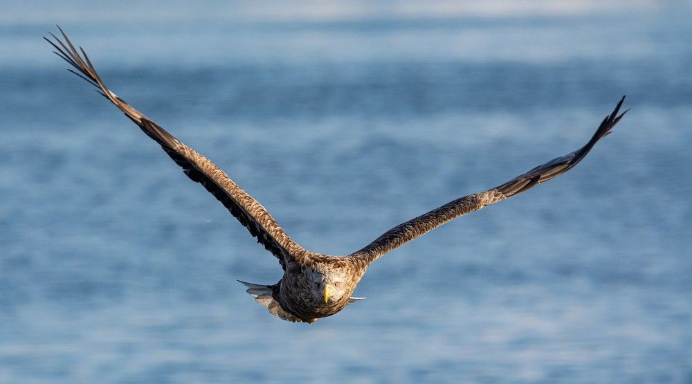 Photograph by Сергей Таран