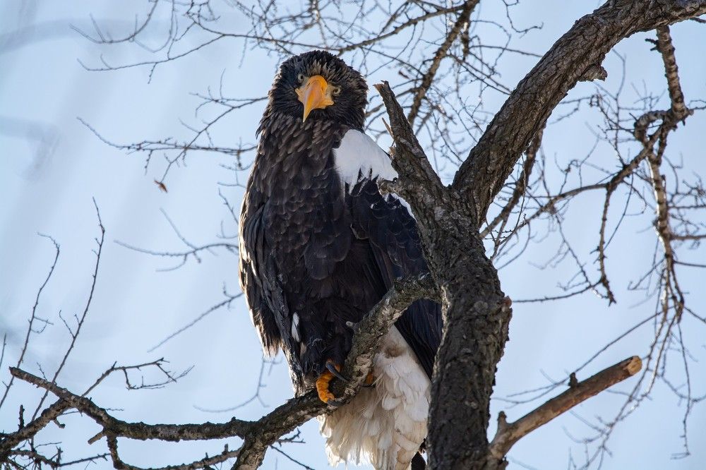 Photograph by Сергей Таран