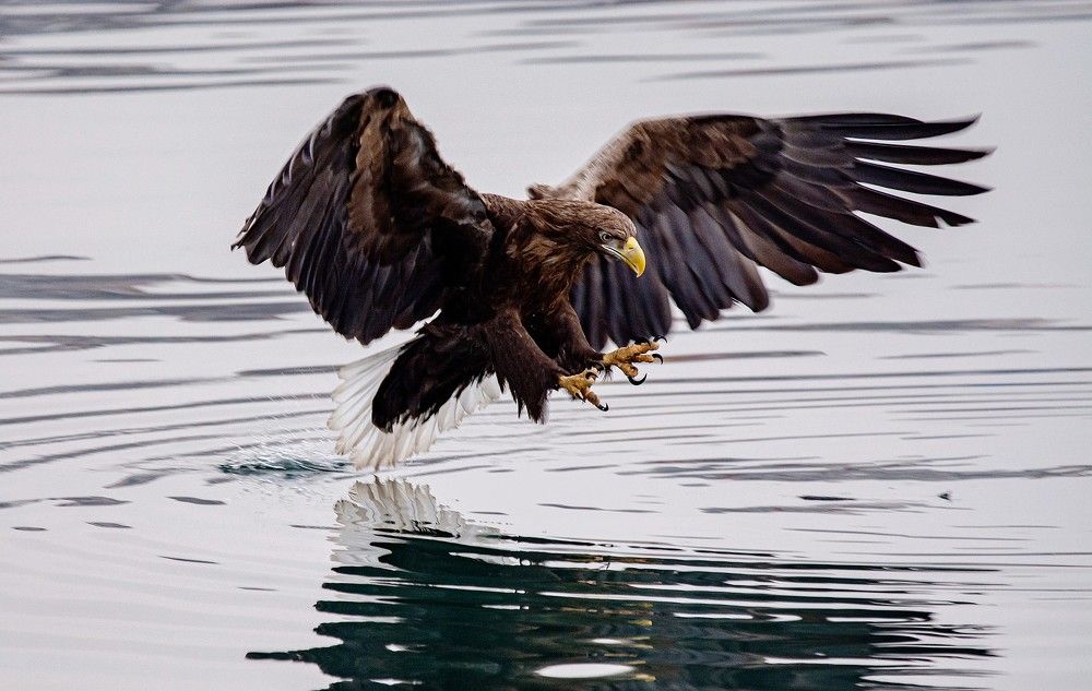 Photograph by Сергей Таран