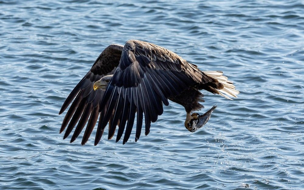 Photograph by Сергей Таран