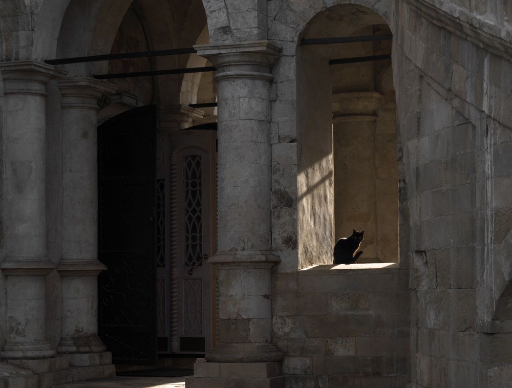 Фотография автора Антон Бразевич