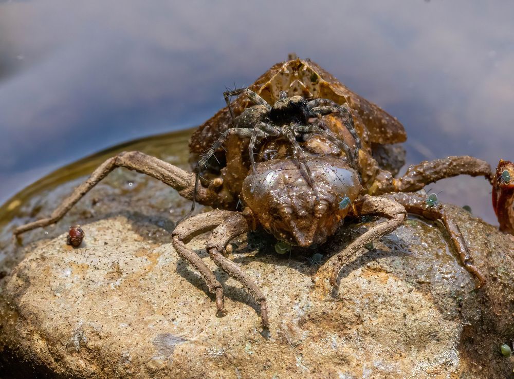 Photograph by Nitin Baste