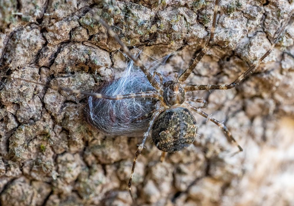 Photograph by Nitin Baste