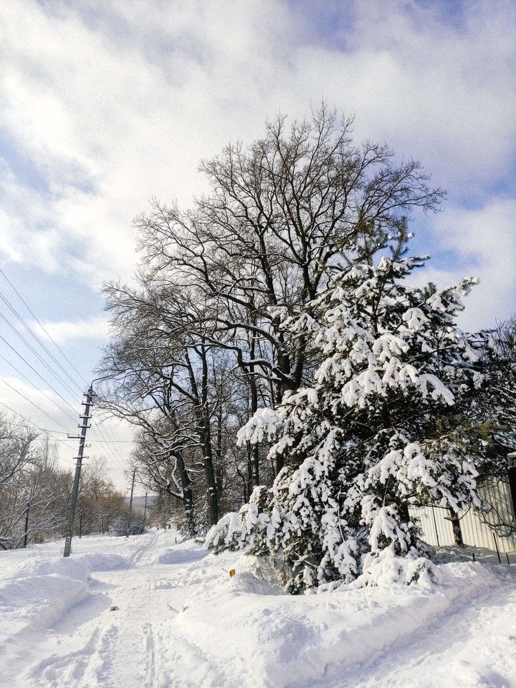 Photograph by Елена Рогова