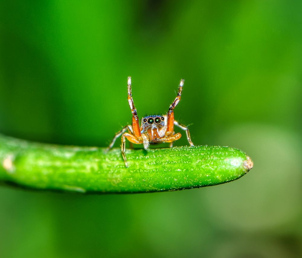 Photograph by Sharel Albor