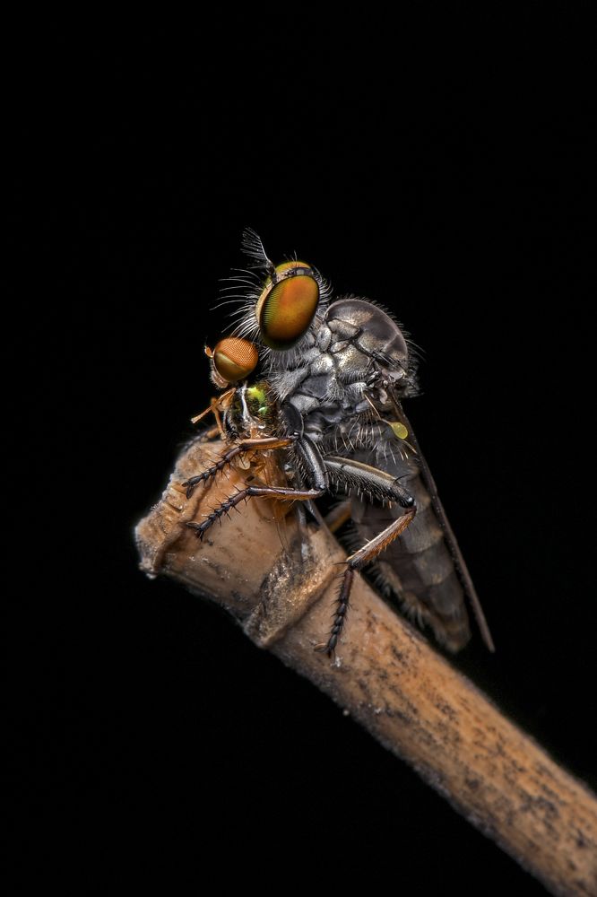 Photograph by ARUNAVA DEY