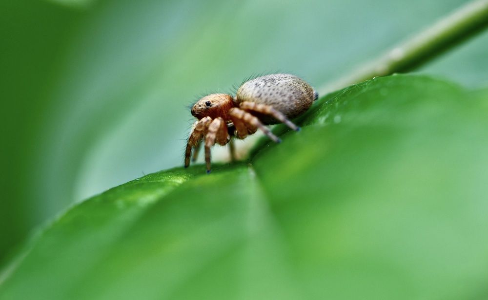 Photograph by Sharel Albor