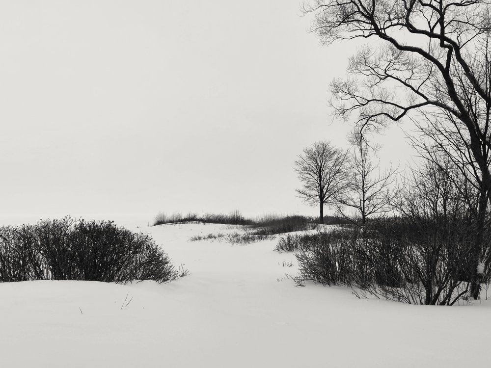 Photograph by Андрюс