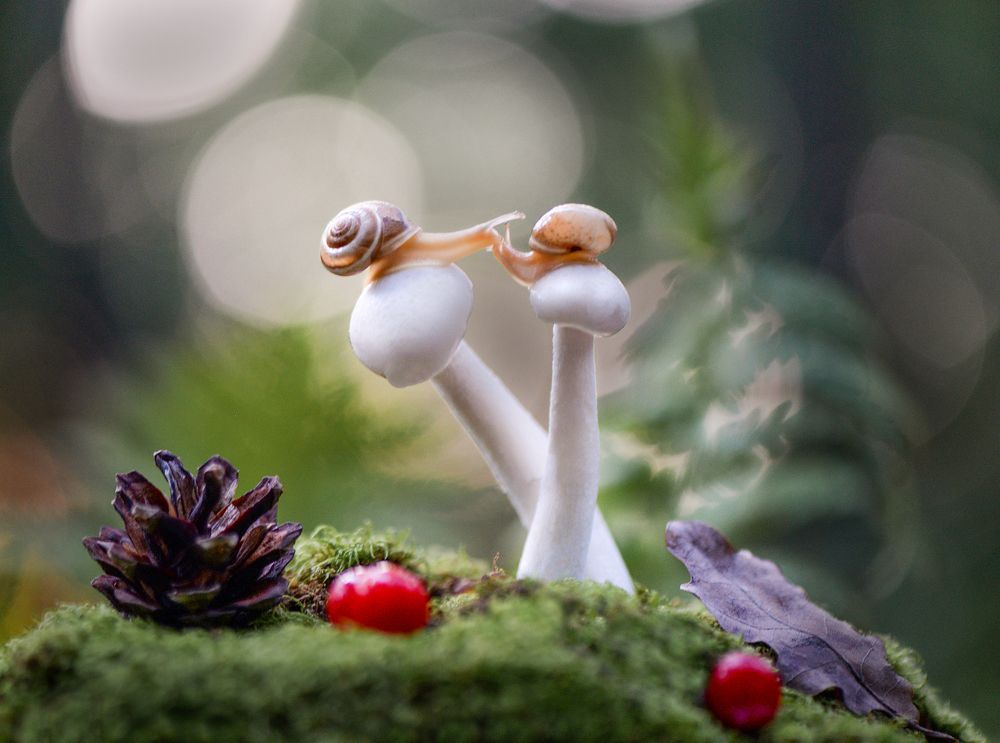 Photograph by Быканова Виктория