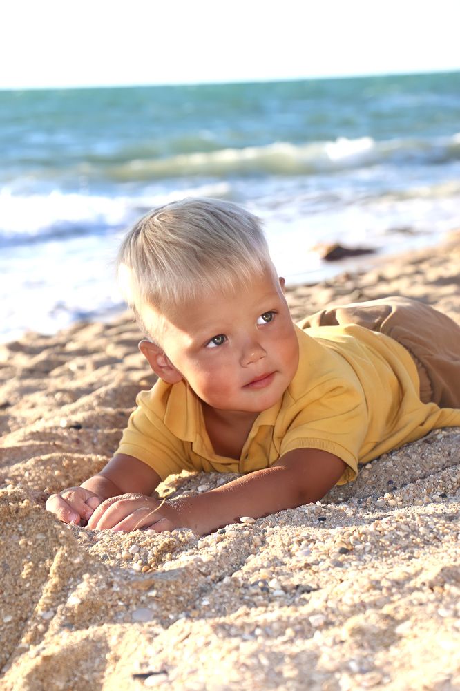 Берег Крыма