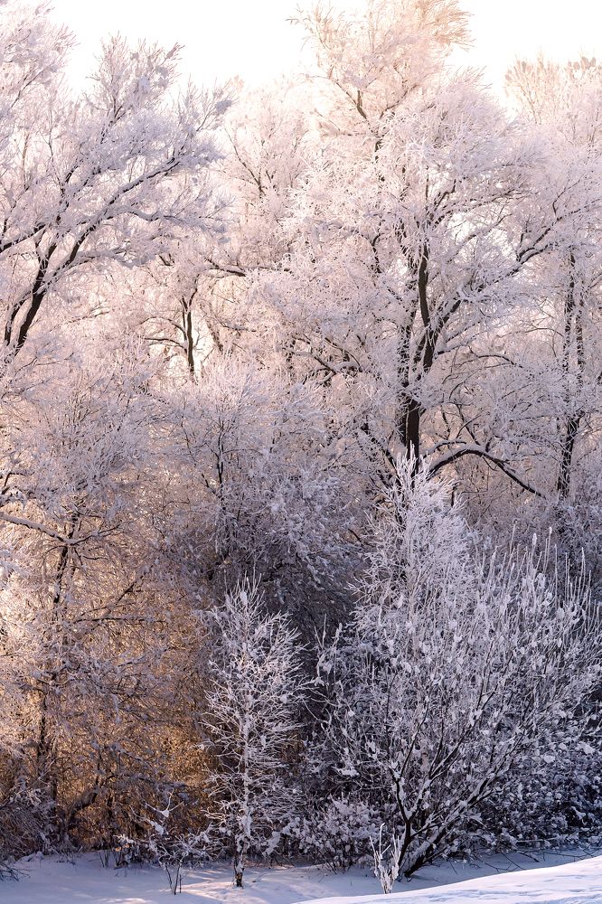 Photograph by Александр Горлов