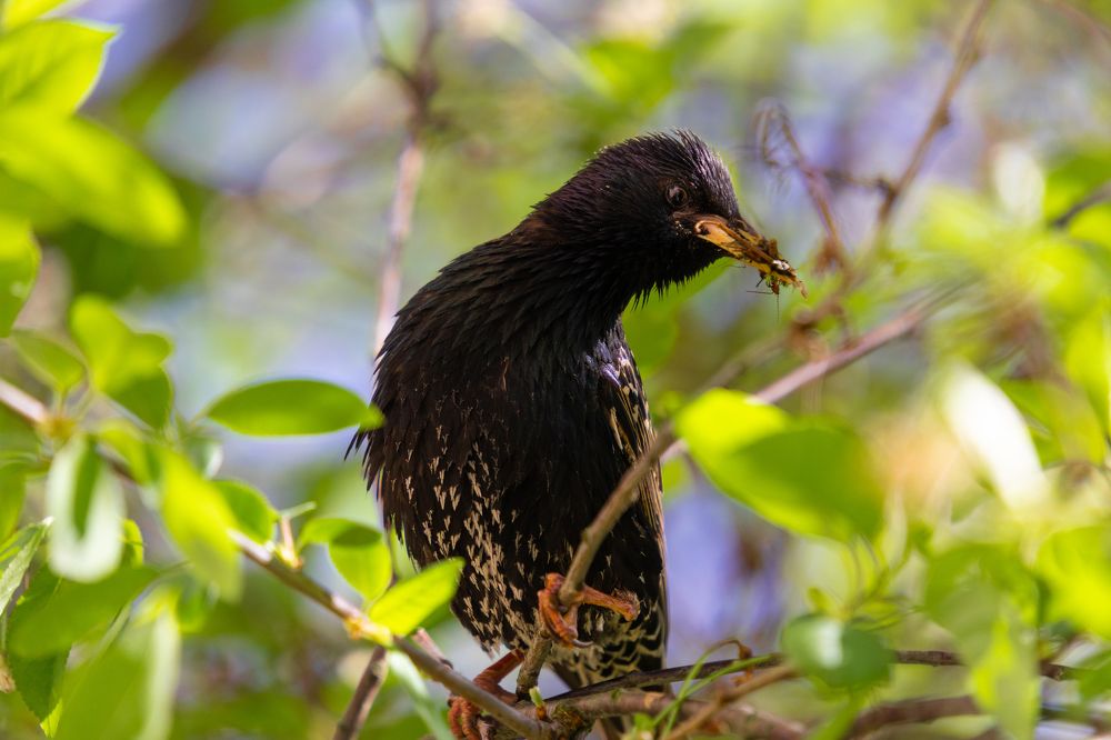 Photograph by Оксана Казакова