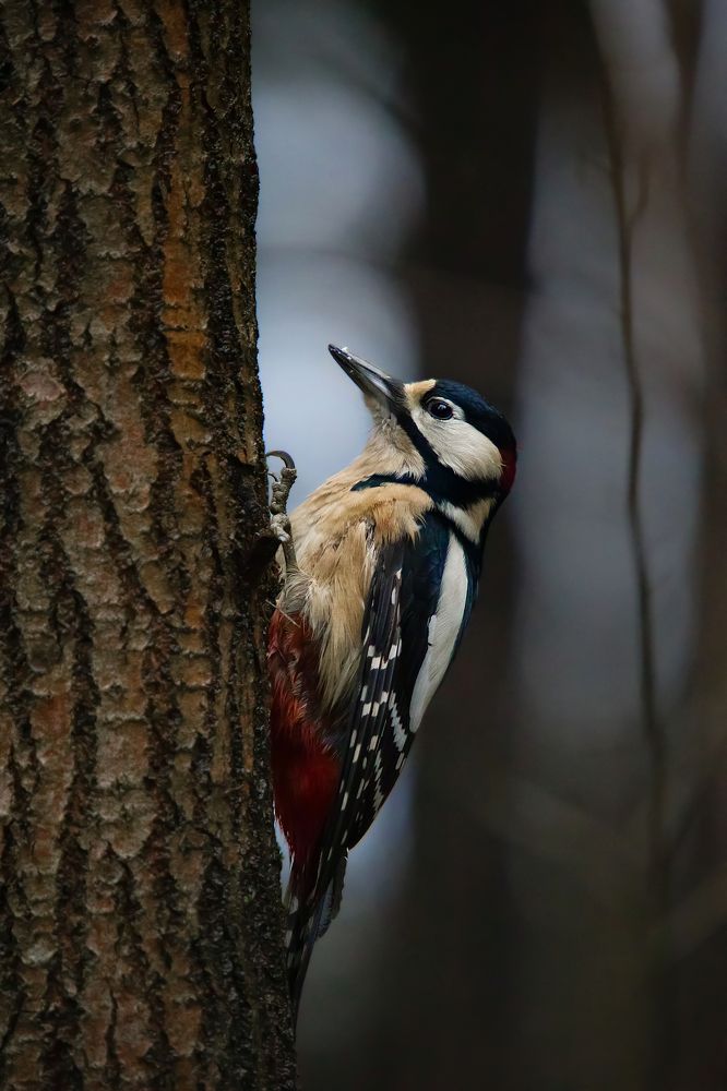 Photograph by Оксана Казакова