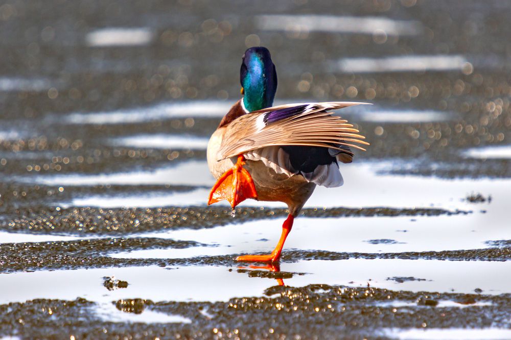 Photograph by Оксана Казакова