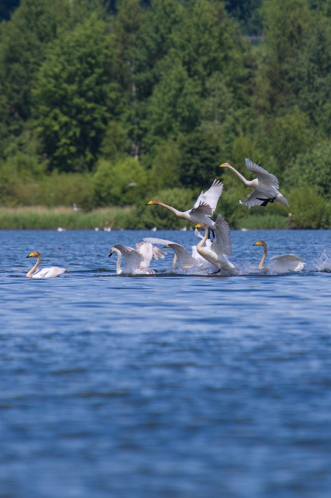 Photograph by Оксана Казакова