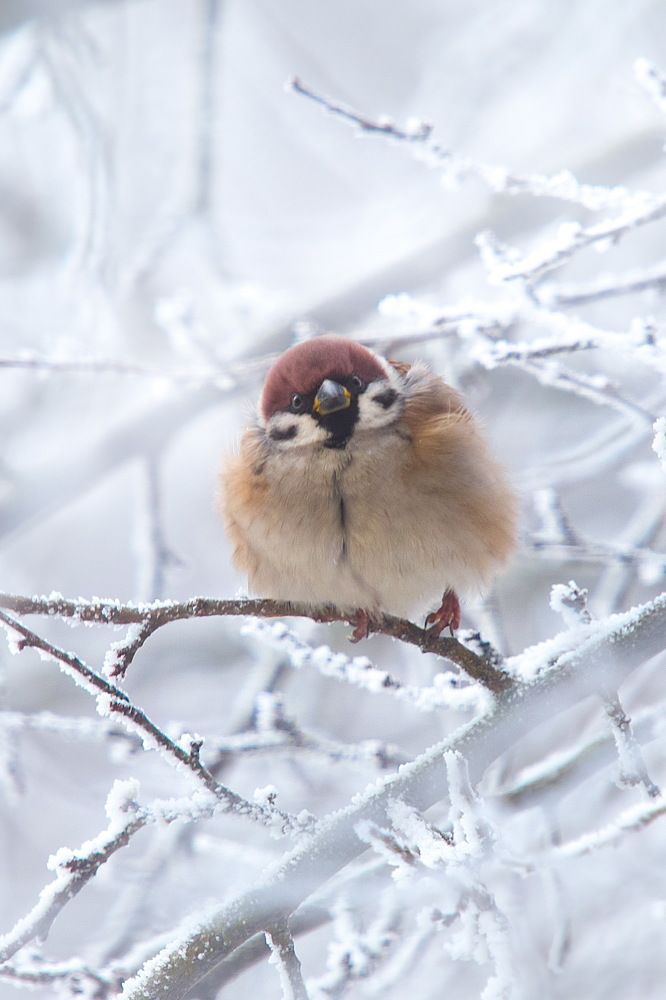 Photograph by Оксана Казакова