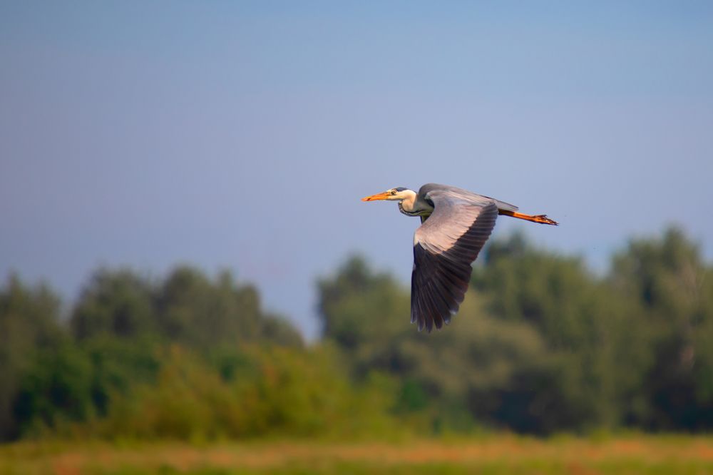 Photograph by Оксана Казакова