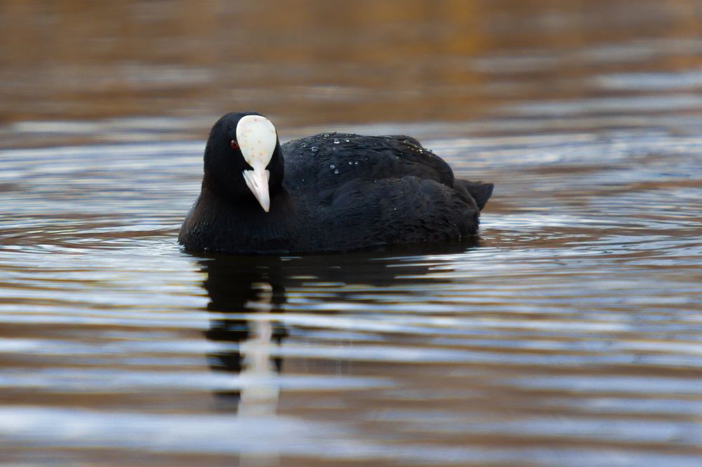 Photograph by Оксана Казакова
