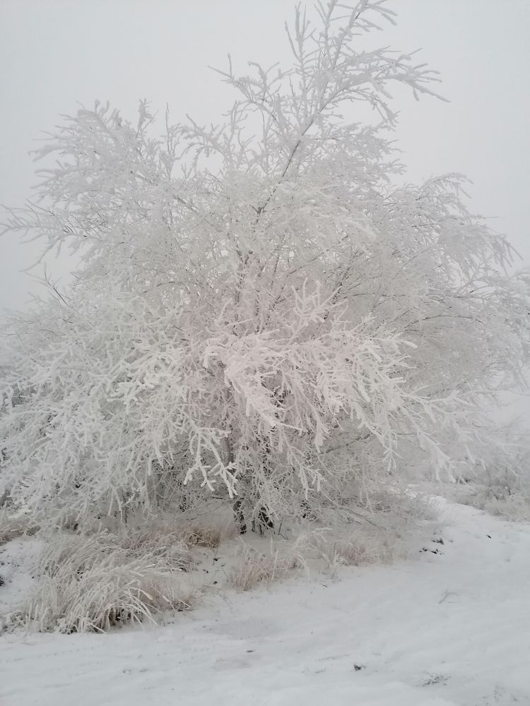 Фотография автора Юлия Лубкина