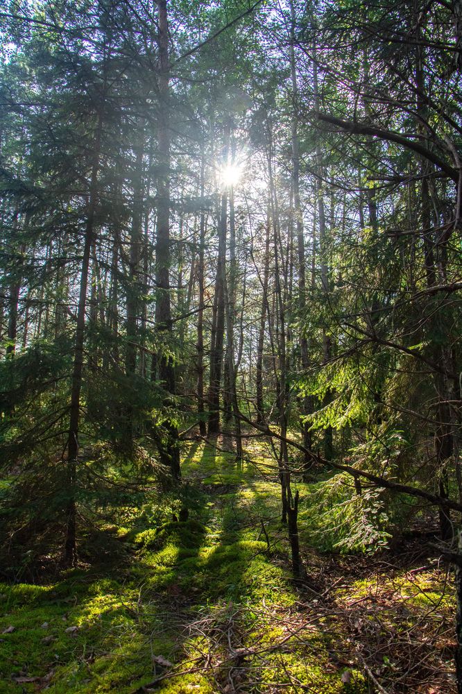 Photograph by Anna Diatchenkova