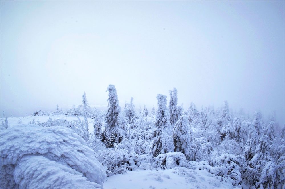 Photograph by Олена Кваша