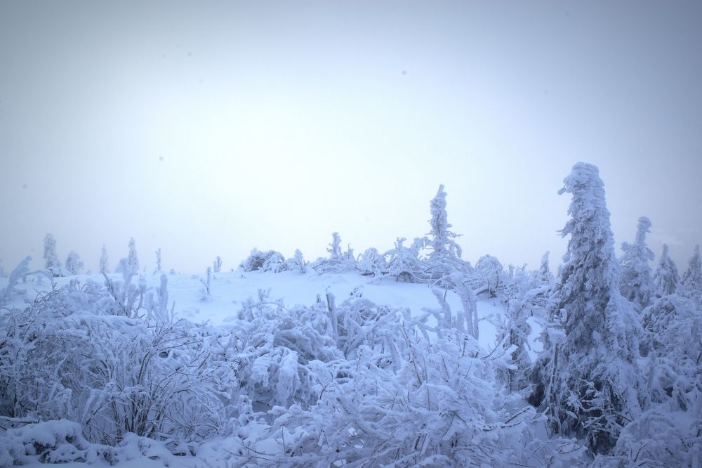 Photograph by Олена Кваша