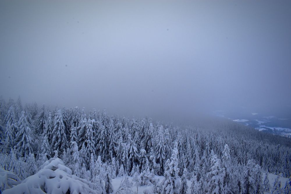 Photograph by Олена Кваша