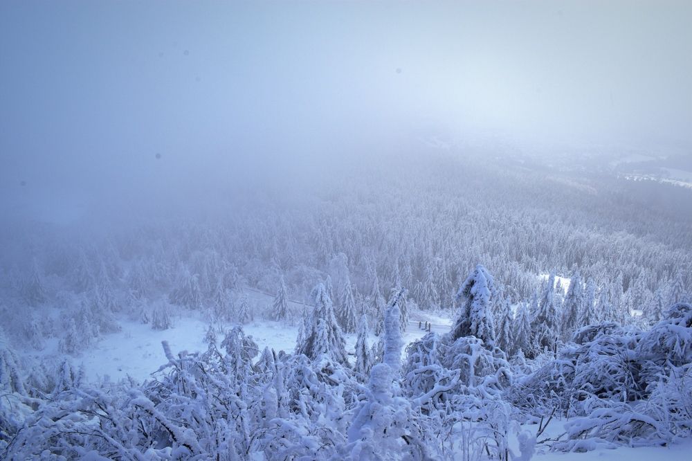 Photograph by Олена Кваша