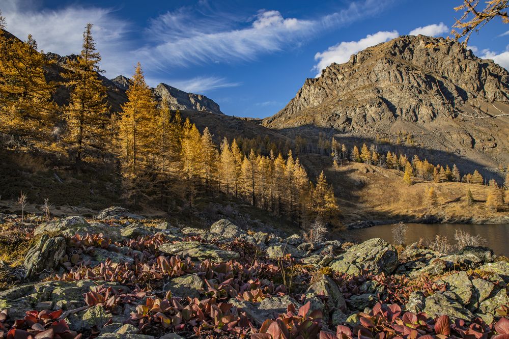 Photograph by Екатерина Лурина